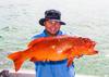 Coral Trout off Exmouth